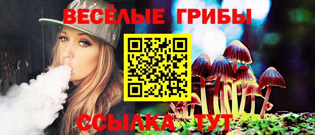 Кудымкар  Псилоцибиновые грибы Psilocybe  Вход с VPN 